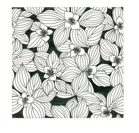 printable black and white drawings.